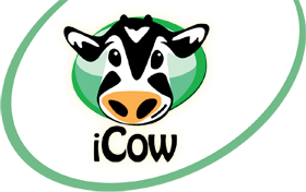 iCow