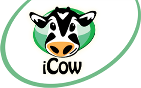 iCow
